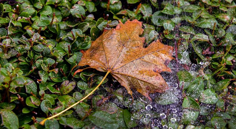 Eső és lehűlés jön november első hetén