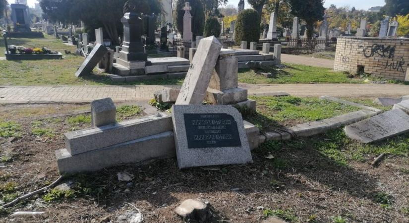 Borzasztó állapotok az újvidéki Futaki úti temetőben