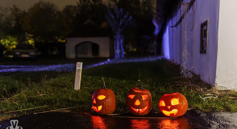 Szent Márton-napi Vásár a Vasi Skanzenben (nov. 8-9.)