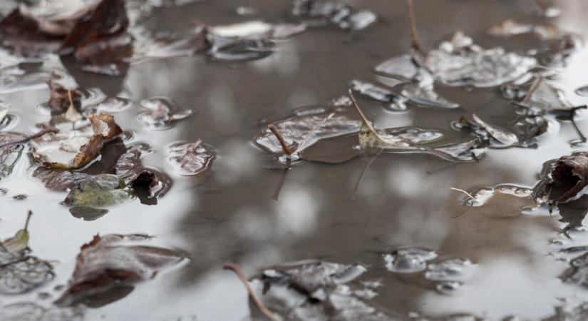 Elő az enyőket, berúgja az ajtót az ősz: igazi novemberi idő lesz a jövő hét elején