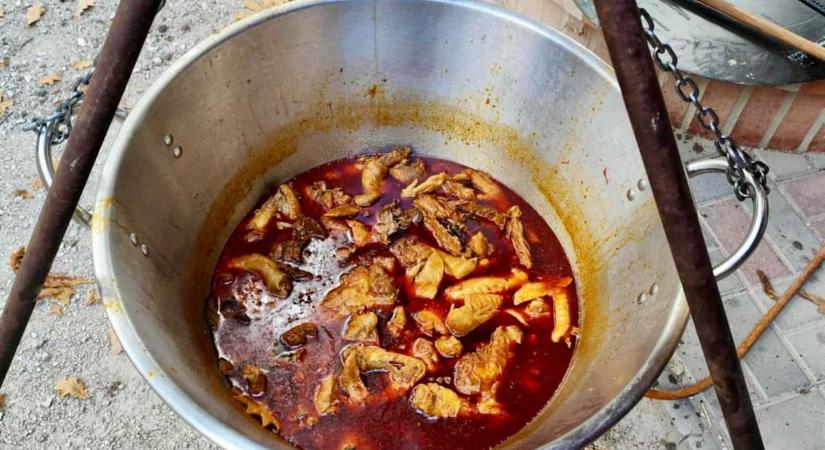 Közösségi munka a dunaföldvári horgászoknál