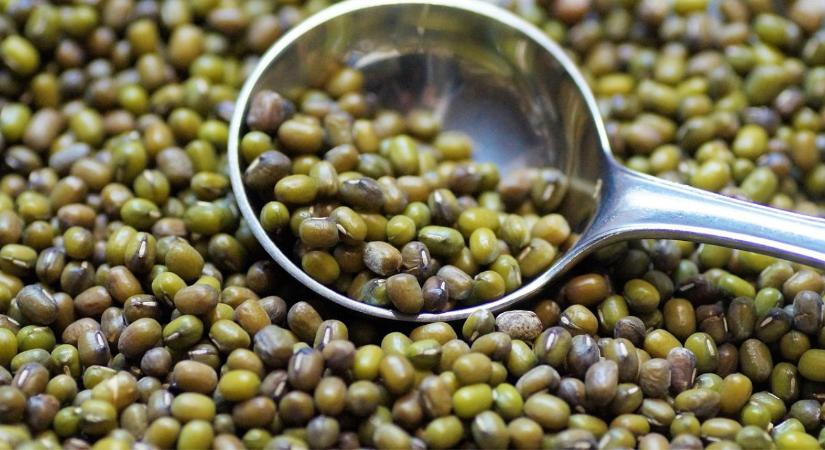 Nem puffaszt, gyorsan kész van, és még finom is – mi az? A mungóbab!