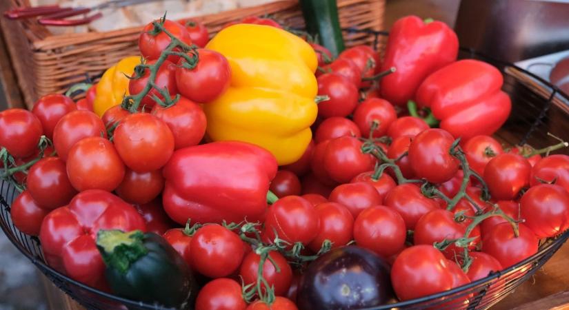 Szenved a paprika és a paradicsom – Marokkóba még nem indult el a betakarítás