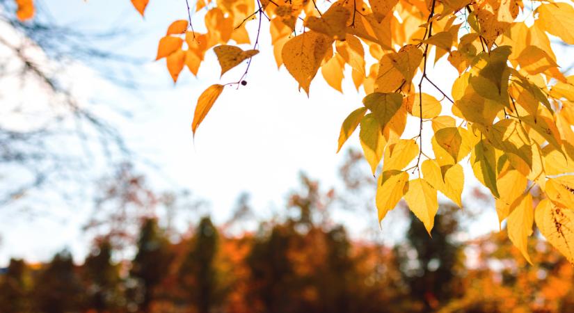 Berobban az ősz az országba: csavart vesz az időjárás a napokban
