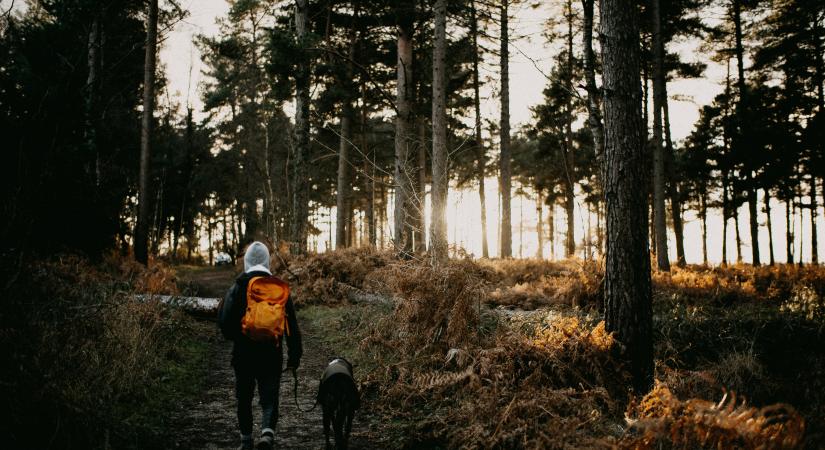 11 vasárnap esti szokás, ami csendben átalakítja a következő hetedet