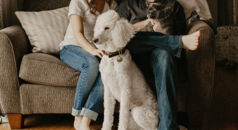 „Olyan régen csináltunk együtt valamit…” – Amivel őrületbe kergetjük mi, nők, a pasikat