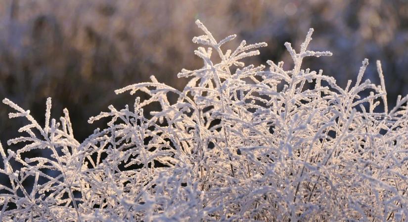 A hideg nem ellenség – így őrizhetjük meg egészségünket a téli hónapokban