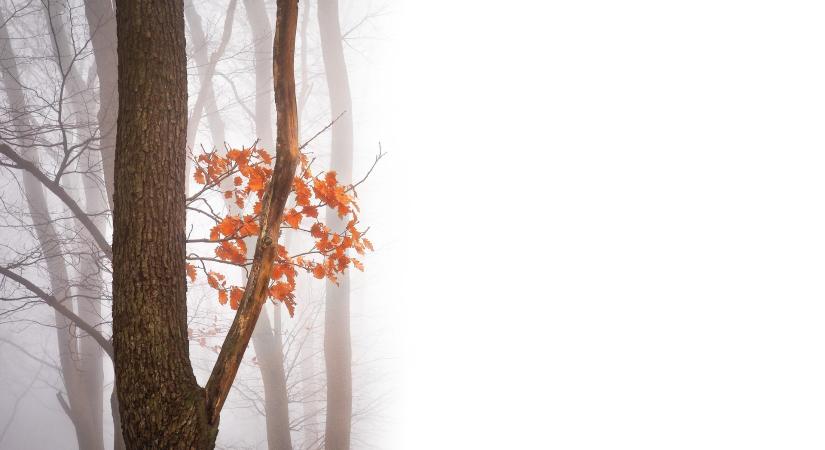 Heti időjárás előrejelzés 2025.11.03. – 2025.11.08.