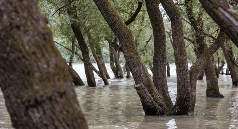 Barangold be az epikus filmes kirándulóhelyeket Magyarországon, ahol a természet a díszlet!