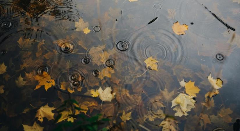 Megmutatja igazi arcát az ősz: esővel és lehűléssel kezdődik november első hete