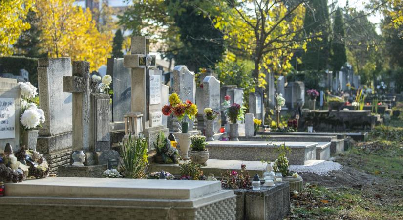 „Ha nincsenek is, vannak még. Csodák.”