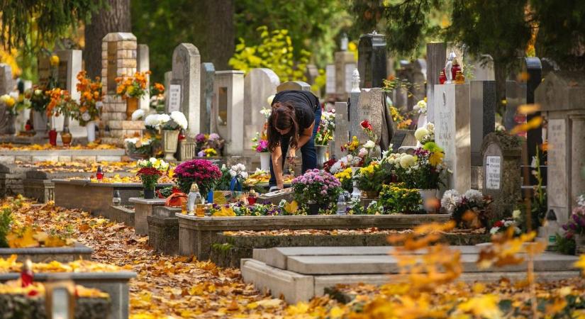 Gyönyörű képeken az őszi avarba bújtatott temető Debrecenben
