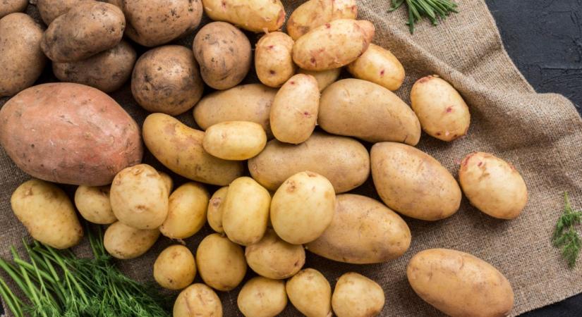 Krumpliválság Európában – stabilitás vagy összeomlás jön?