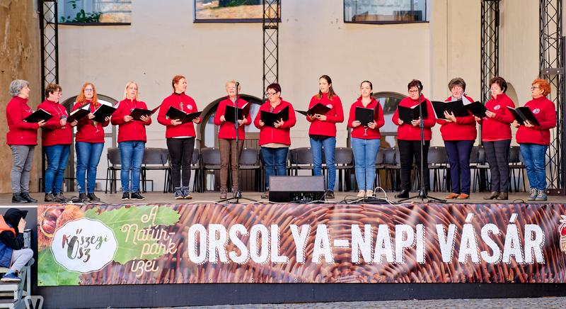 Kulturális egyesületek Orsolya-napi zenés kavalkádja