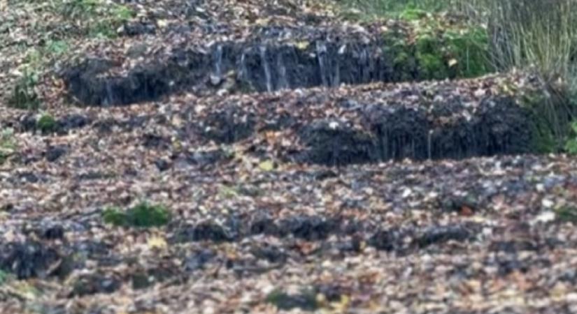 Elkeserítő – a drámai vízhiány miatt kiszáradt a Fátyol-vízesés  videó
