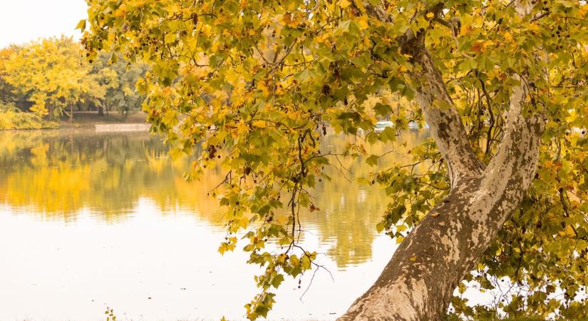 Az őszi időjárás kettős arca – ilyen lesz a hétfő