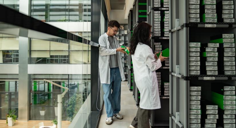 Belehúz az akciókba a Rejoy, egy hónapos Black Friday-t tartanak