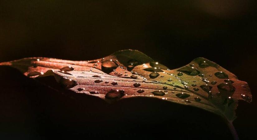 Hiszi, nem hiszi? – Napi horoszkóp, 2025. november 3., hétfő