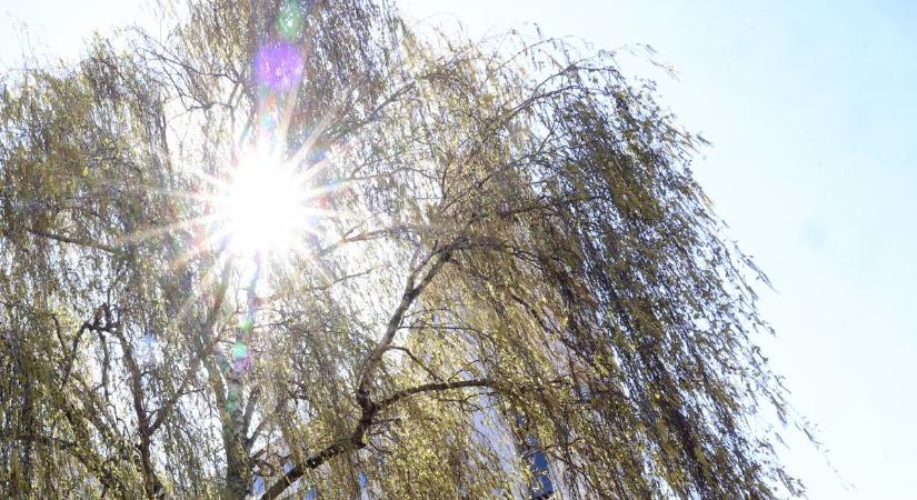 Újra eladó - de már bagóért - Miskolc ikonikus épülete - képek, videó