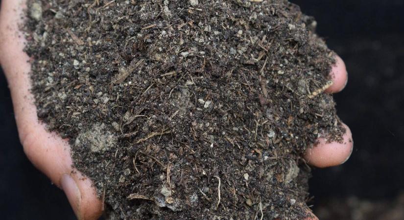 Kincset érő humusz: így készítse el otthon!