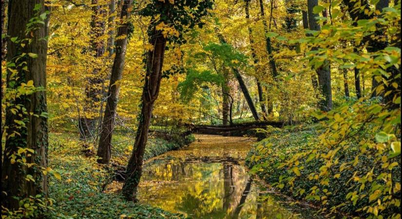 Top 10 arborétum Magyarországon, amit mindenképp látnod kell!