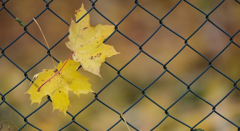 Igazi arcát mutatja az ősz, de az aszály marad