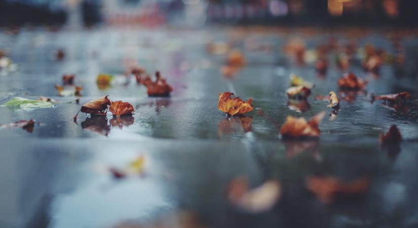 Esővel és lehűléssel indul november első hete