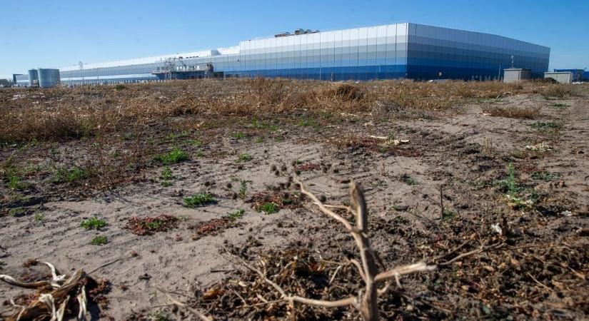 Gigantikus beruházást hajt végre Magyarországon a Lidl: megkezdődött a toborzás – ezekre a pozíciókra keres dolgozókat