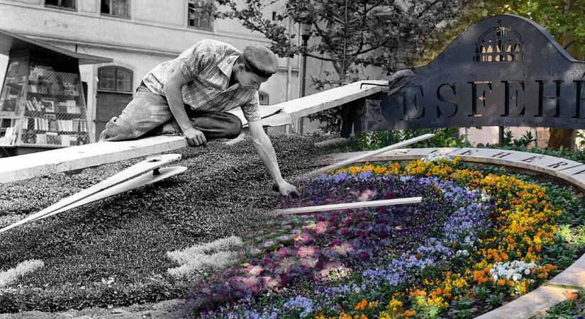 A Virágóra története Székesfehérváron (képgalériával)