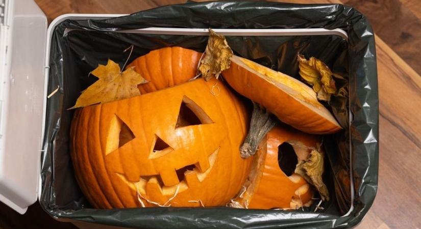 A halloween után sem ér véget a horrorsztori, komoly következménye lehet, ha a töklámpást a természetben dobod