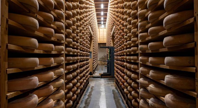 Óriási parmezánrablás Olaszországban – több mint 100 ezer euró értékű sajt tűnt el