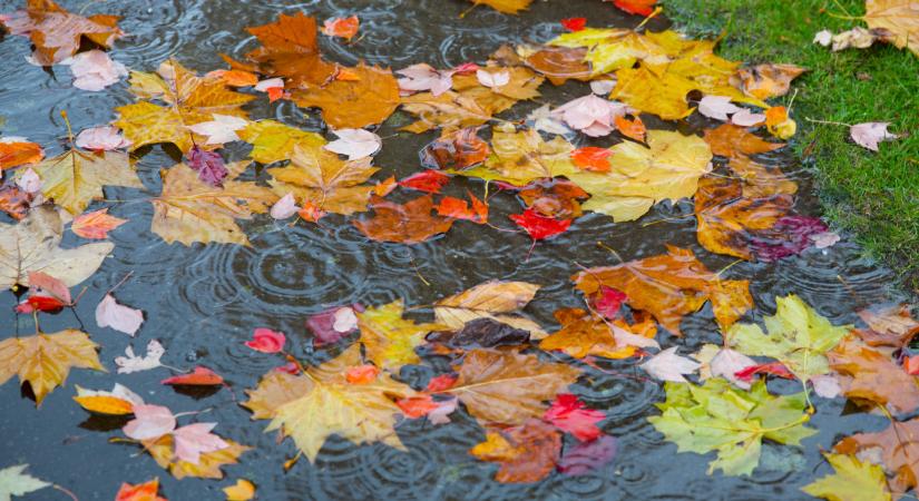 Kiszáradt a népszerű vízesés Magyarországon: nagyon nagy a baj