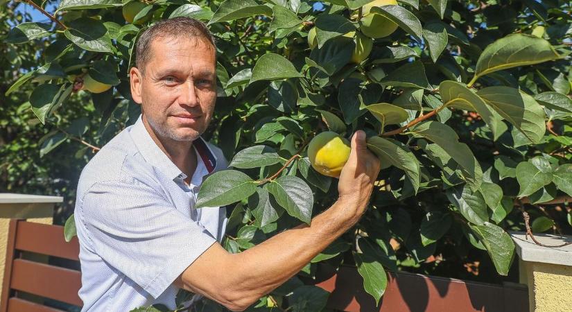 Titkos energiabomba, amit a természet adott a délutáni fáradtság ellen