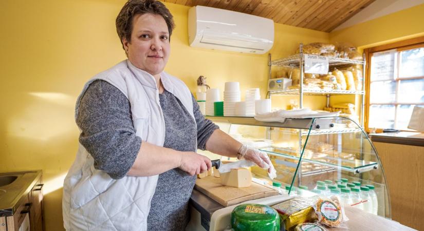 Duplázott a Tebike, győri sajtok nyertek díjakat - fotók