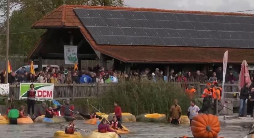 Napindító – Óriástök regatta  videó