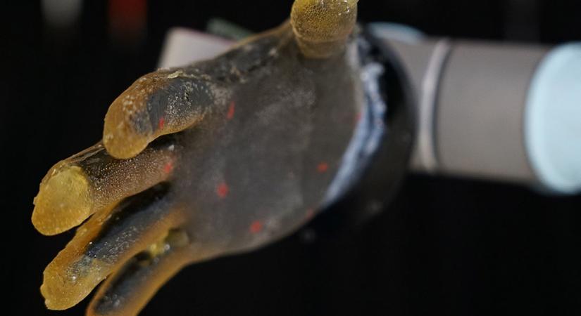 Robotok, egy érintésre tőlünk