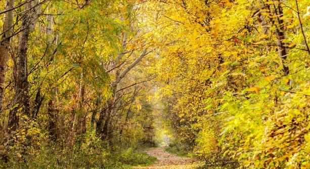 Mozgalmas nyitány után viszonylag nyugalmas őszidő