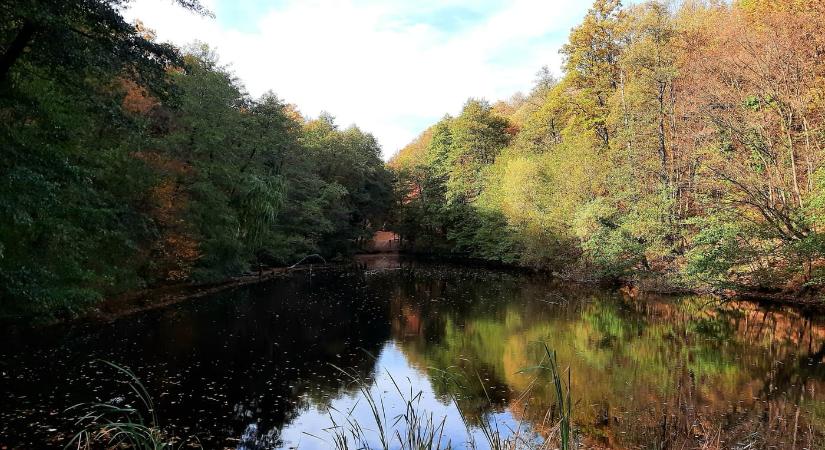 Éger-völgy, a Mecseki Parkerdő kincse