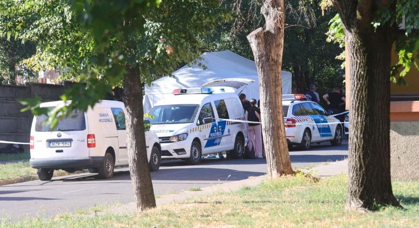 Rendkívüli! Harminc emberi maradványra bukkantak túrázók Pécsen