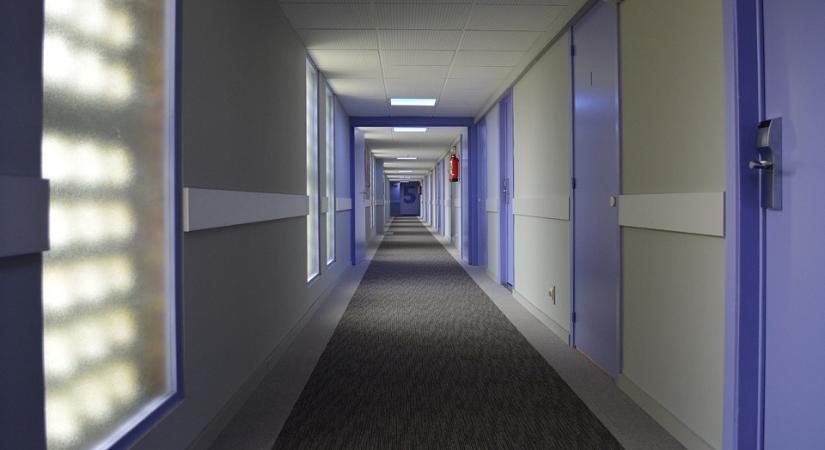 Visit Hungary: több mint 600 ezer vendégéjszakát hozott az október 23-i hosszú hétvége