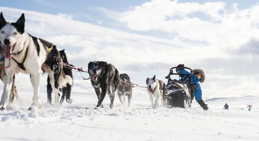 Elindult a jelentkezés a Fjällräven Polar sarkvidéki expedícióra – ingyenes