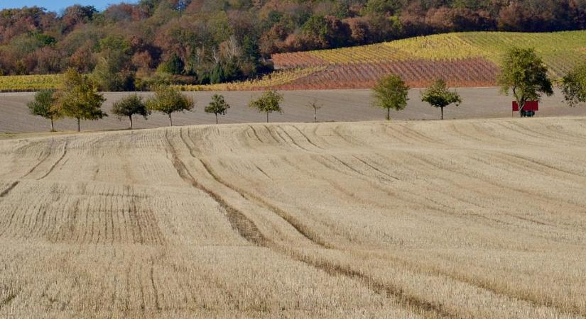 XXXV. Keszthelyi Növényvédelmi Fórum