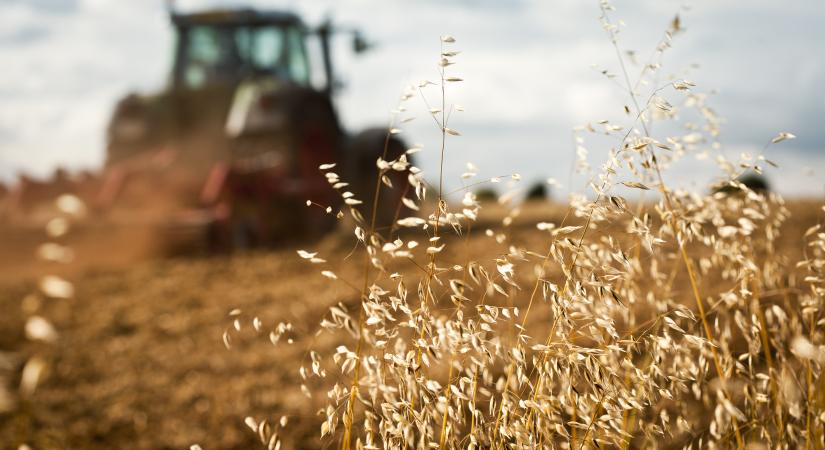 Traktorok kalapács alatt – árverez a NAV