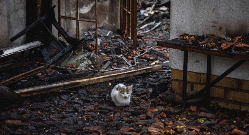 Ez maradt a domaszéki tanyából a halálos tűzeset után – fotókon a romokban heverő épület