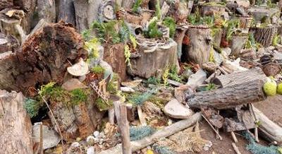 Ismeretlenek elpusztították Manófalvát, a budakalászi mesevárost