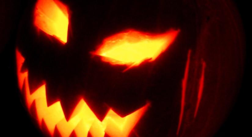 Tökvicsori – Józsa Márta jegyzete