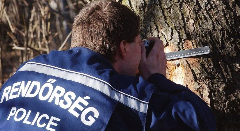 Rossz társaságba keveredett, Pécs felé indult, majd eltűnt – napok óta nem találják a fiatal mohácsi lányt