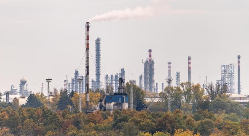 Biocsökkentést javasolnak a kis kutasok