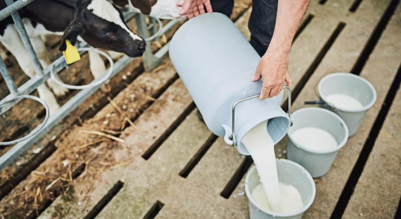 REL Expo – ismerd meg és használd a rövid ellátási lánc modelljét a gyakorlatban