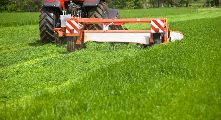 Fokozódik a zavar a jelentési határidők körül